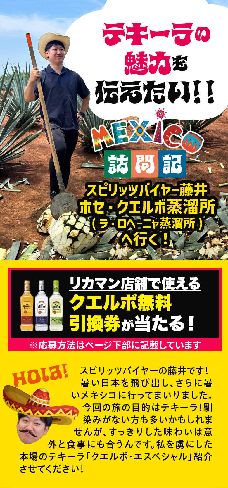 メキシコ探訪記