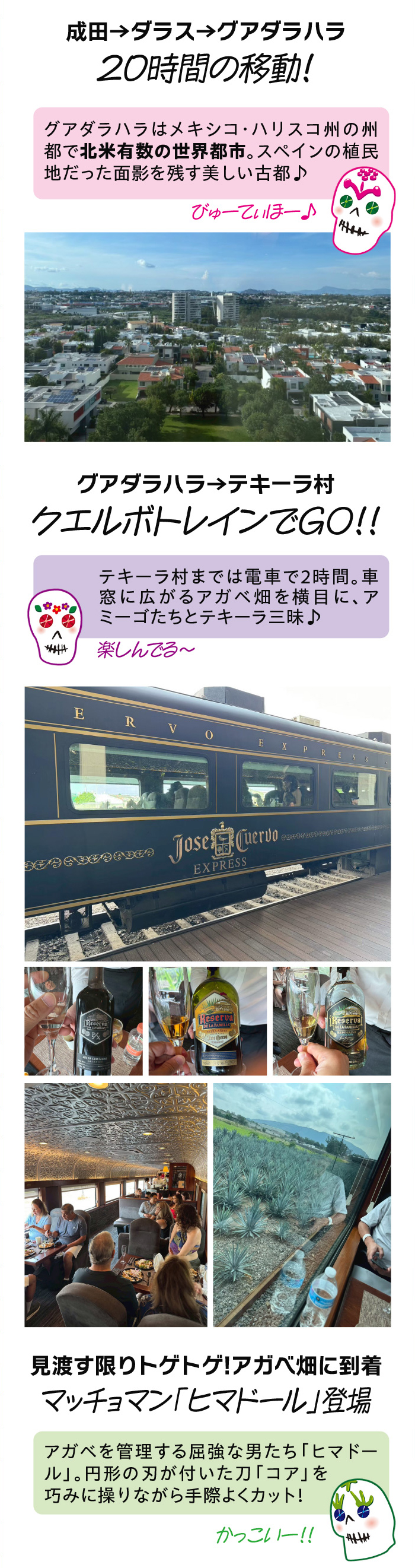 メキシコ探訪記