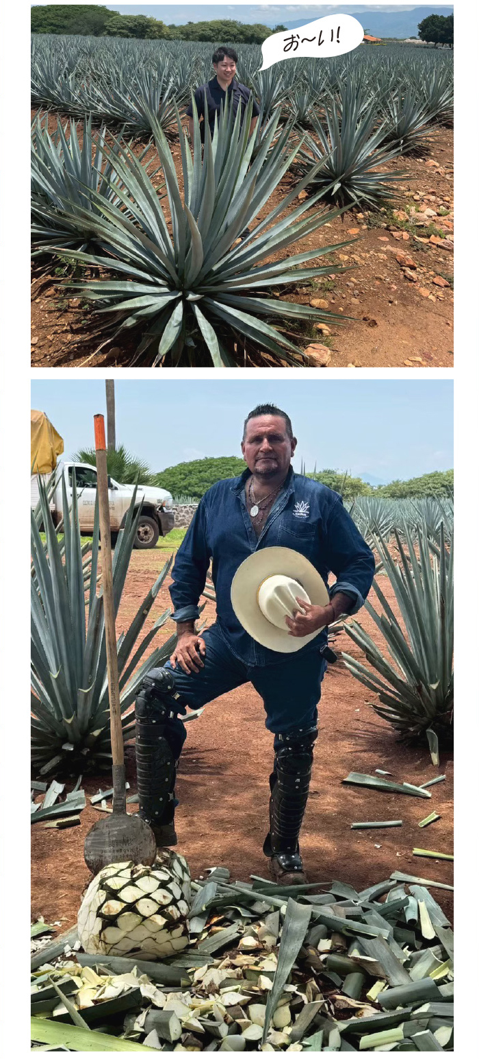 メキシコ探訪記