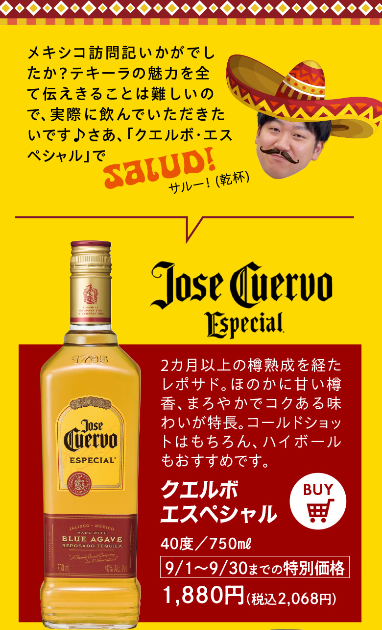 メキシコ探訪記